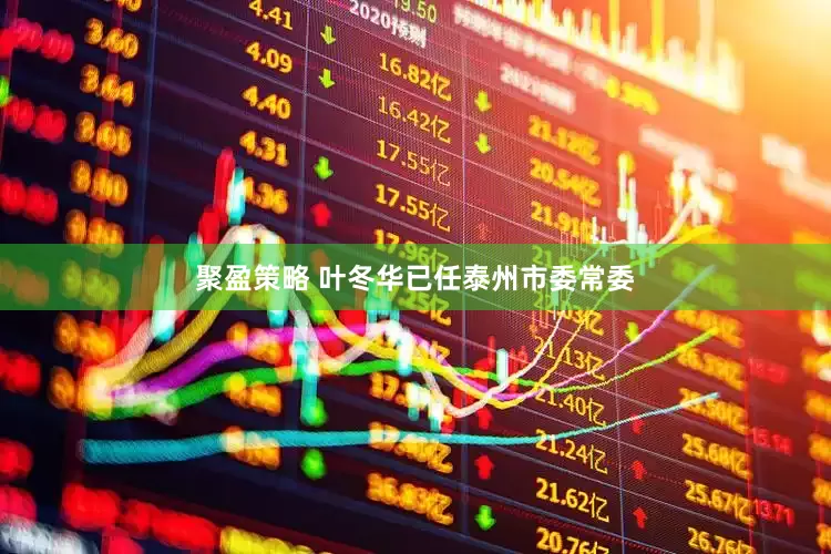 聚盈策略 叶冬华已任泰州市委常委