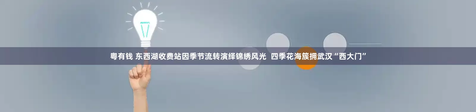 粤有钱 东西湖收费站因季节流转演绎锦绣风光  四季花海簇拥武汉“西大门”