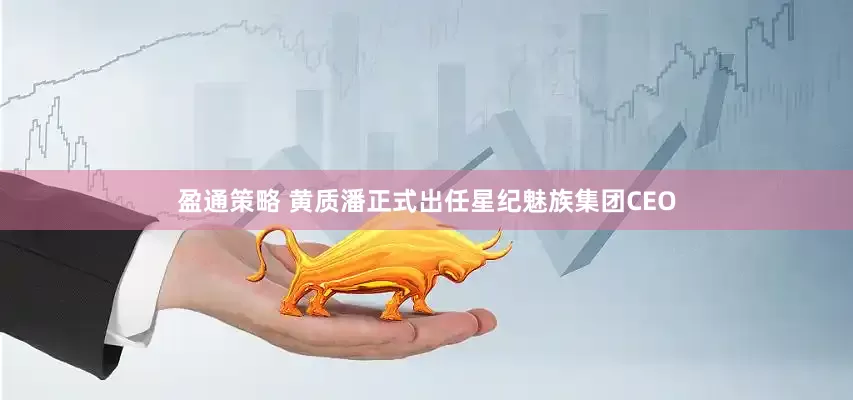 盈通策略 黄质潘正式出任星纪魅族集团CEO