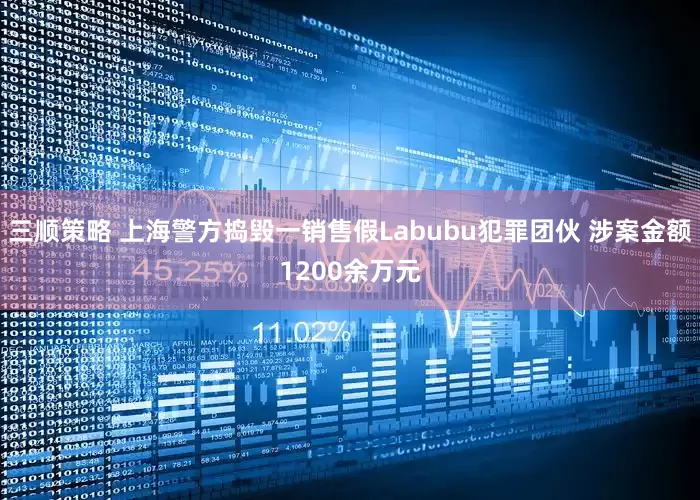 三顺策略 上海警方捣毁一销售假Labubu犯罪团伙 涉案金额1200余万元