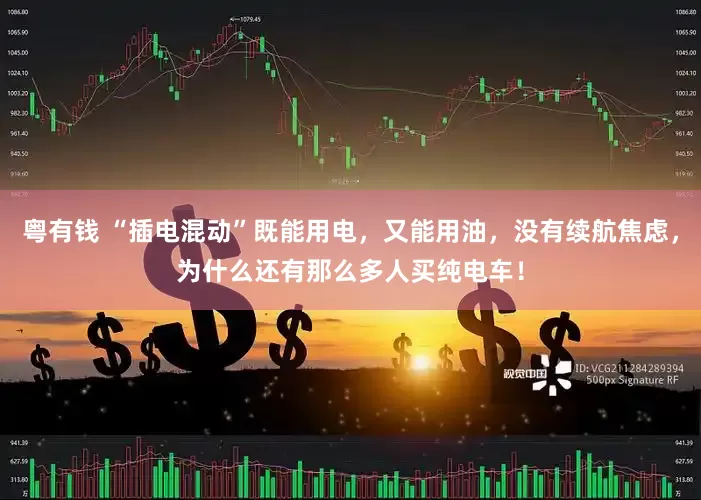 粤有钱 “插电混动”既能用电，又能用油，没有续航焦虑，为什么还有那么多人买纯电车！