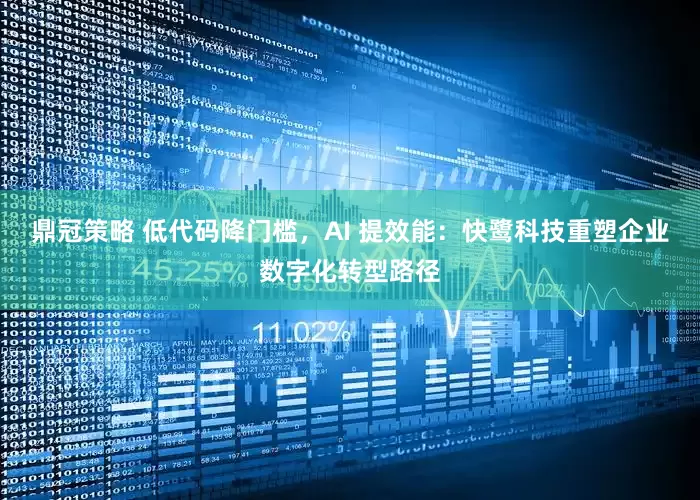 鼎冠策略 低代码降门槛，AI 提效能：快鹭科技重塑企业数字化转型路径